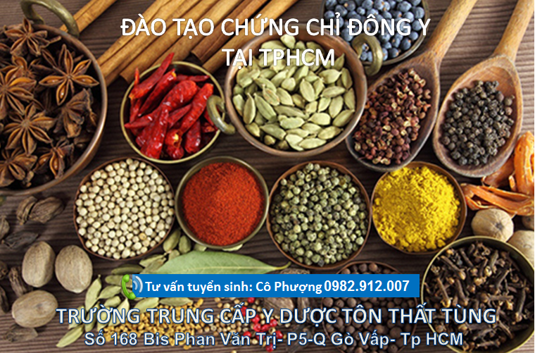 CHỨNG CHỈ ĐÔNG Y UY TÍN CHẤT LƯỢNG TẠI TPHCM
