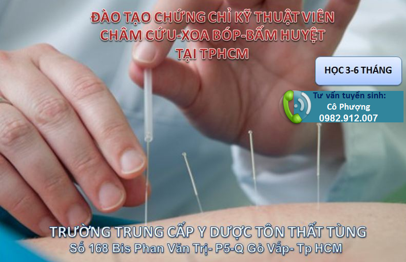 ĐÀO TẠO CHỨNG CHỈ CHÂM CỨU BẤM HUYỆT TẠI TPHCM