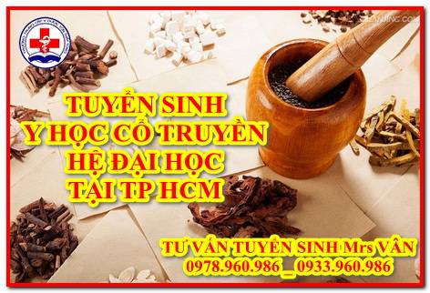 Học lớp Y học cổ truyền hệ đại học ở đâu tốt tại TP HCM 2022