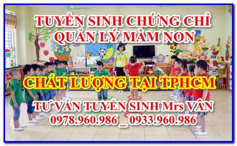 quản lý mầm non