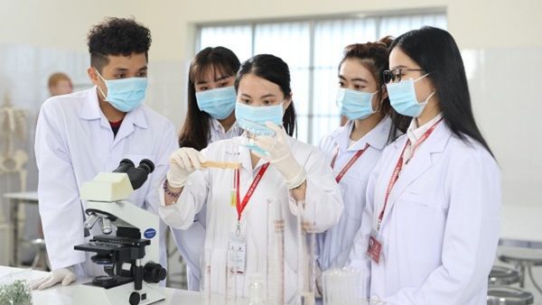 Ngành Dược học những môn gì