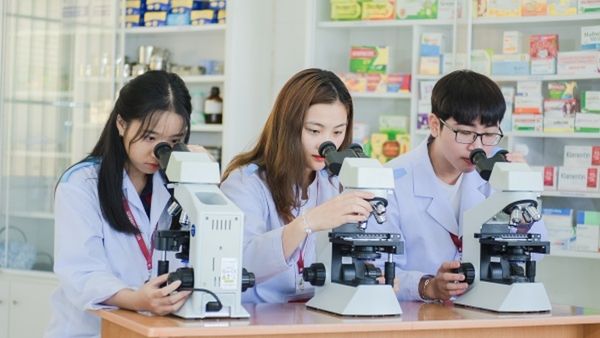 Ngành Dược học những môn gì