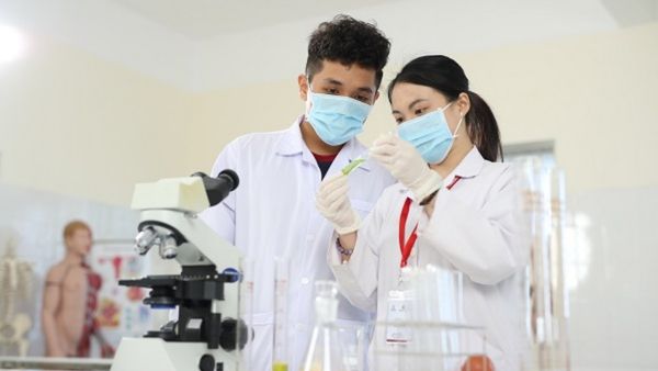 Ngành Dược học những môn gì