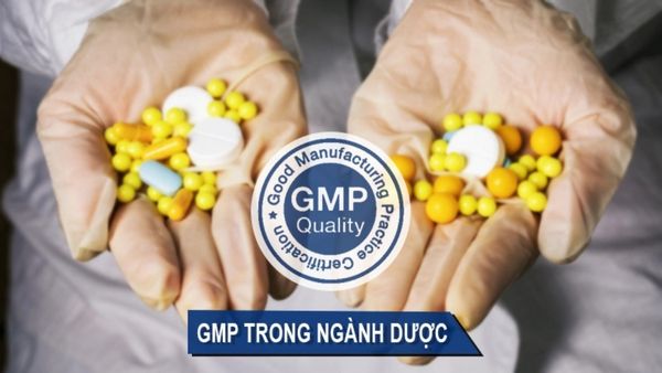 gmp trong ngành dược là gì
