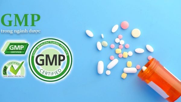 gmp trong ngành dược là gì