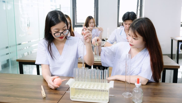 Nên học chuyên ngành Dược nào? Hướng dẫn chọn ngành phù hợp Nên học chuyên ngành Dược nào