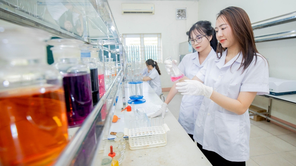 Thực tập sinh ngành Dược – Bước đệm quan trọng để trở thành dược sĩ chuyên nghiệp Thực tập sinh ngành Dược