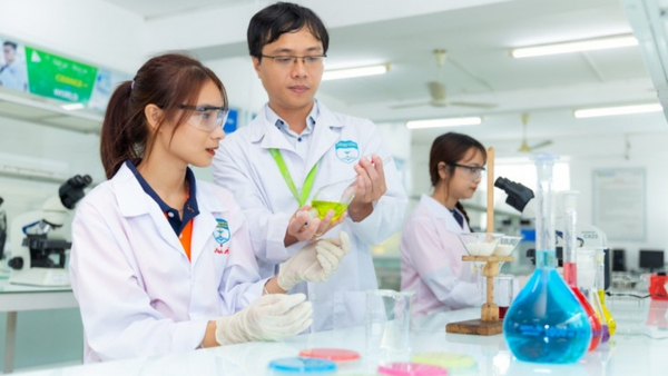 Thực tập sinh ngành Dược – Bước đệm quan trọng để trở thành dược sĩ chuyên nghiệp Thực tập sinh ngành Dược