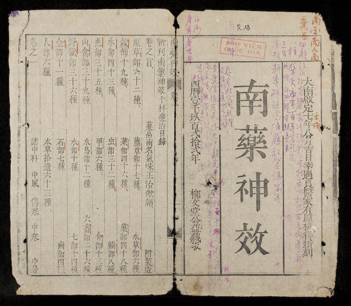 Ông tổ ngành dược là ai? Câu chuyện lịch sử và nguồn gốc nghề Dược ông tổ ngành dược