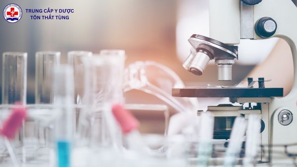 Học Đại học Dược ra làm gì? Cơ hội việc làm và hướng phát triển học đại học dược ra làm gì