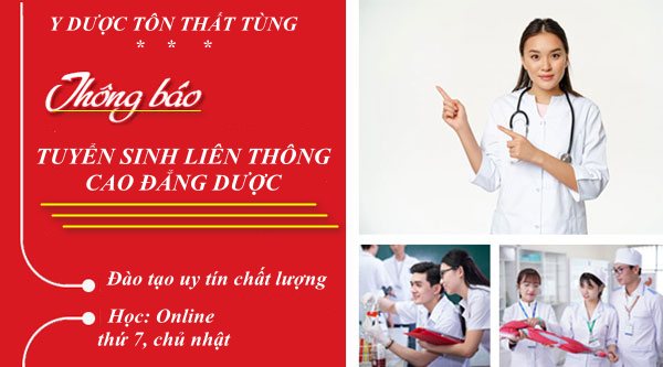 Đào Tạo Cao Đẳng Dược Năm 2026