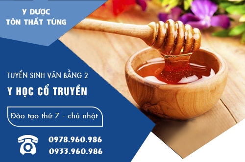 Các trường đào tạo cao đẳng y học cổ truyền uy tín?